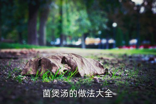 用羊肚菌給孩子煮粥,羊肚菌煲粥做法兒童能喝嗎